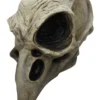 Crow Skull Mask
